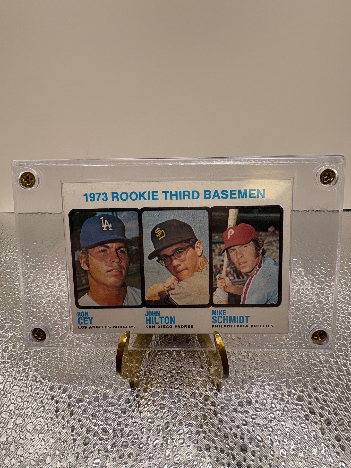 1973 Mike Schmidt Rookie Card